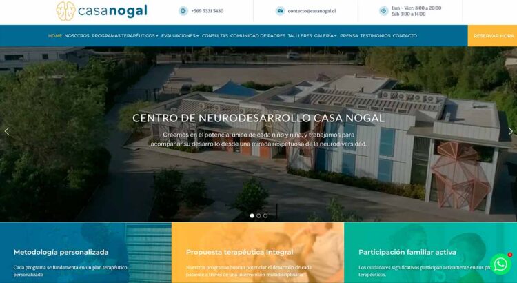 Terapia ocupacional en Chile